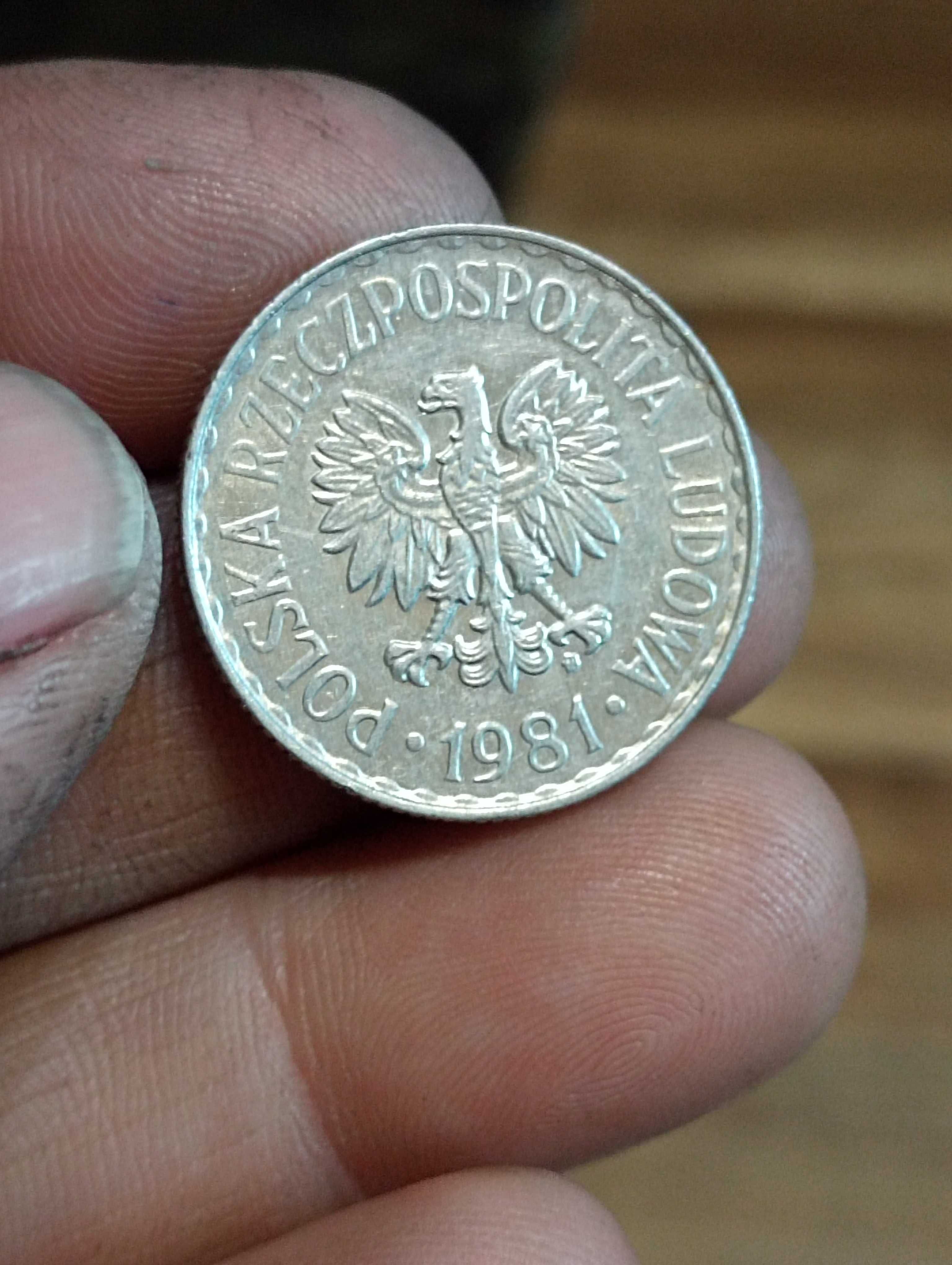 Sprzedam monete 1 zl 1981