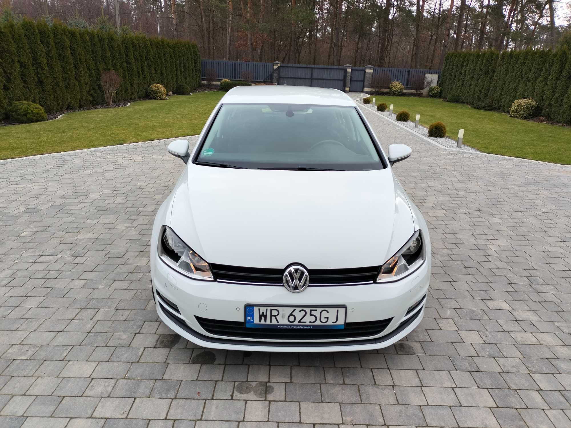 VW GOLF VII 2016 Rok 1.6TDI