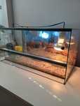 Terrarium z pełnym wyposażeniem