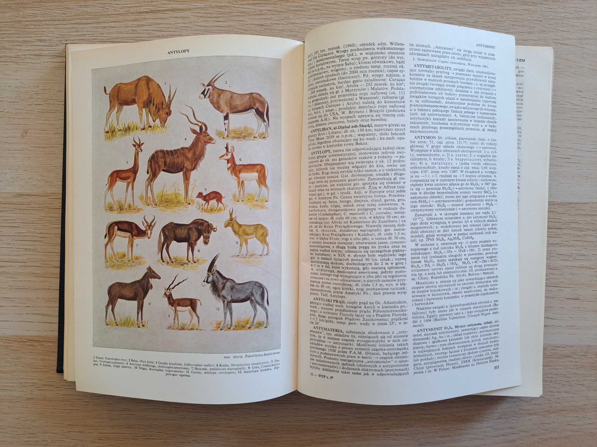 1965 rok. Wielka Encyklopedia Powszechna PWN. Tom 1-13