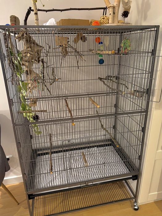 Duża klatka dla papug, ptaków