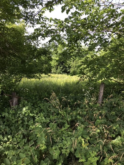 Продам ділянку