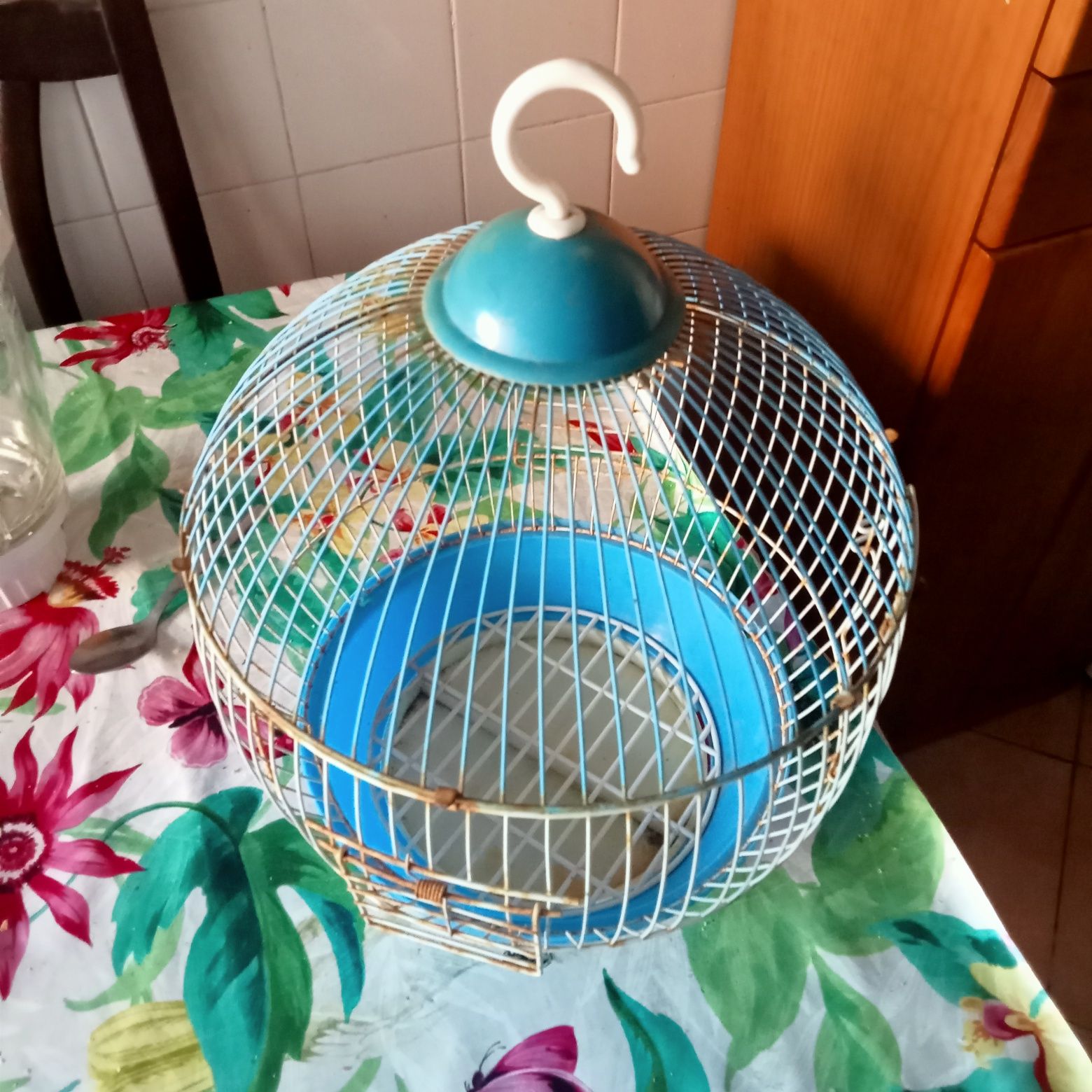 Vendo gaiola para pássaro