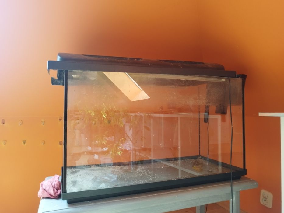 Sprzedam akwarium 125l