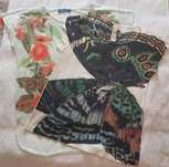 Lote 2 T-Shirts Zara, TM