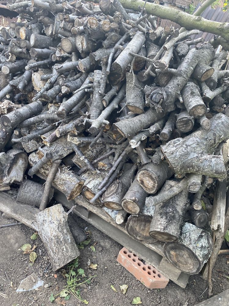 Продам дрова из фруктовых деревьев