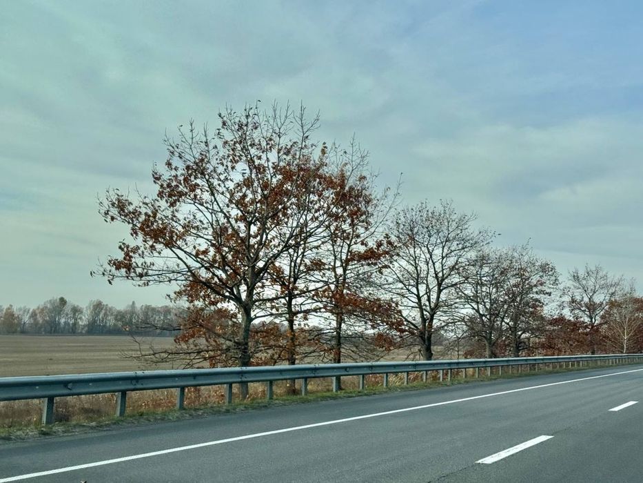 Земельна ділянка.Фасад ! 8га! с.Микуличі