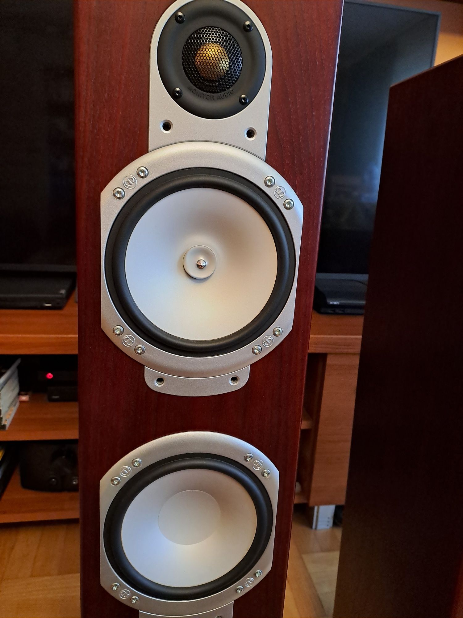 Kolumny głośnikowe Monitor Audio rs6