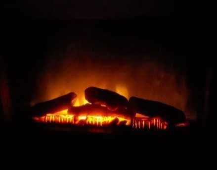 Kominek elektryczny EWT Optiflame BZT20