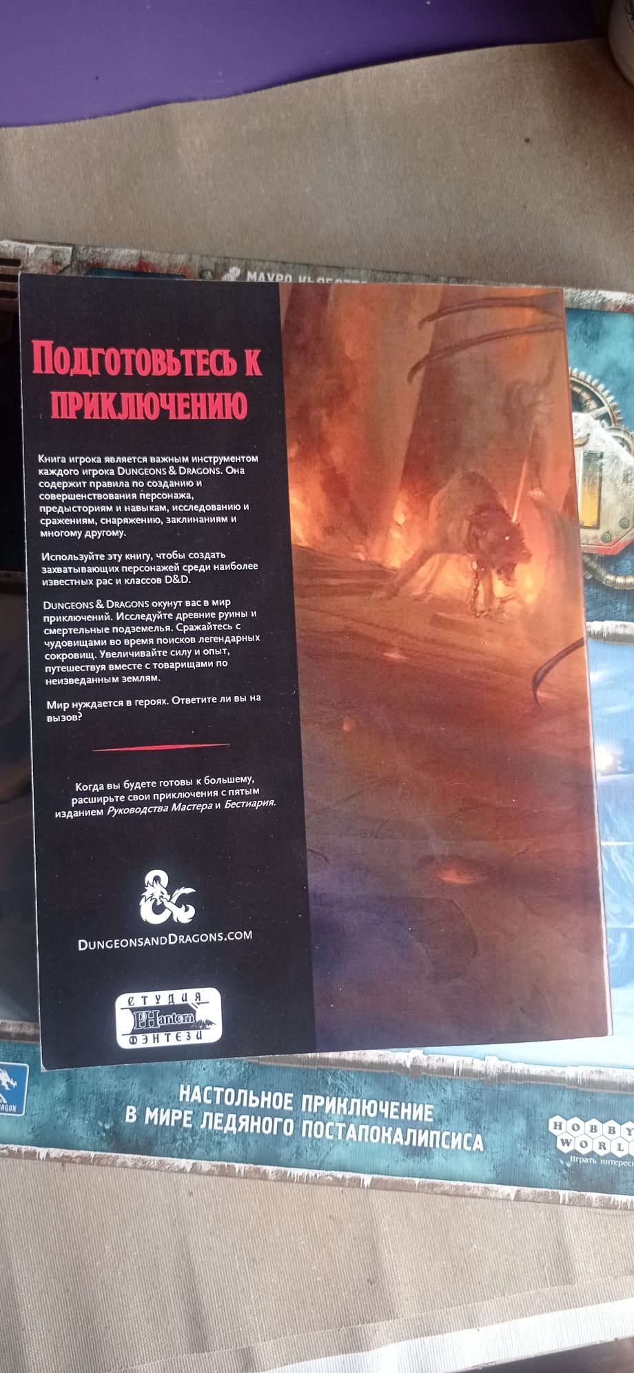 Книга игрока D&D Книга гравця днд Подземелье и драконы