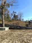 Terreno Santa Apolónia silvares
