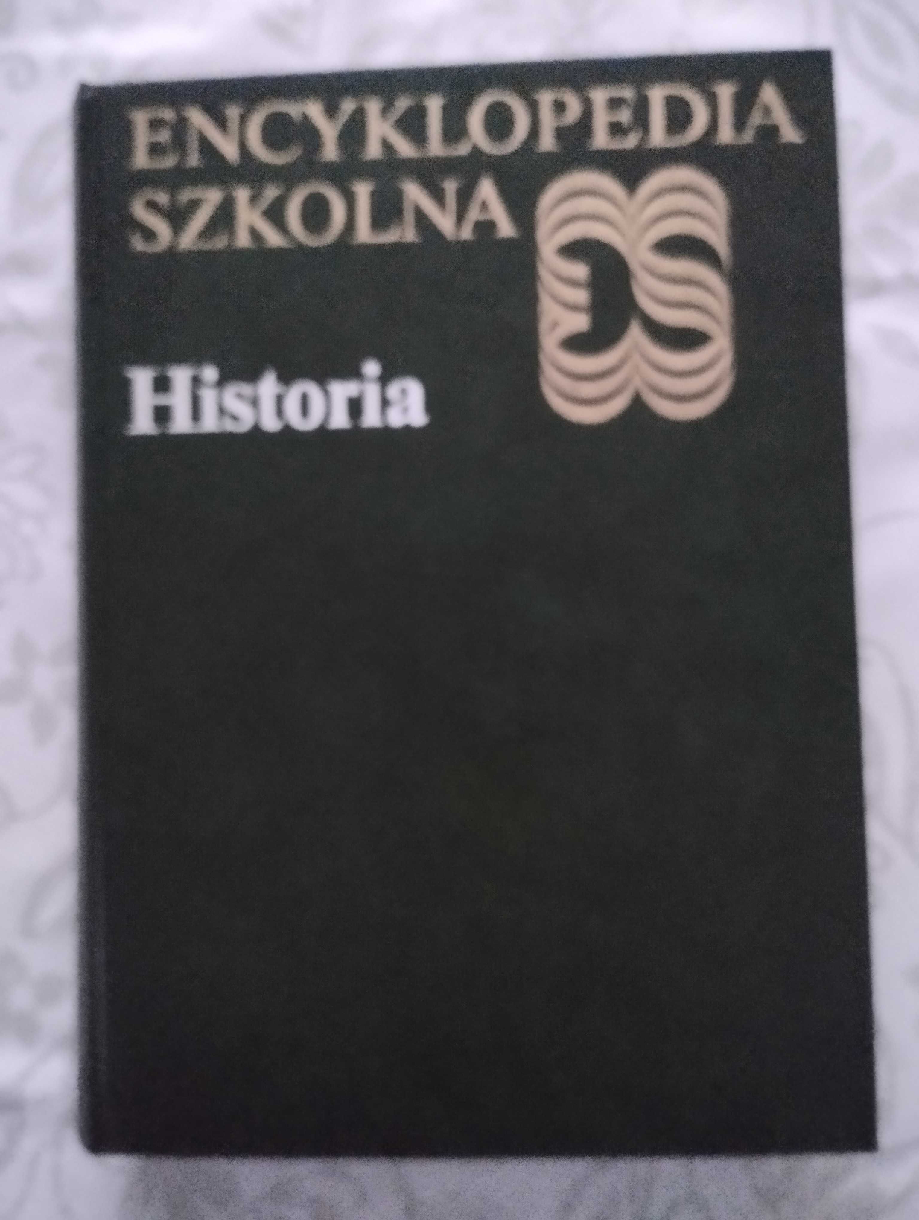 Encyklopedia szkolna historia WSIP