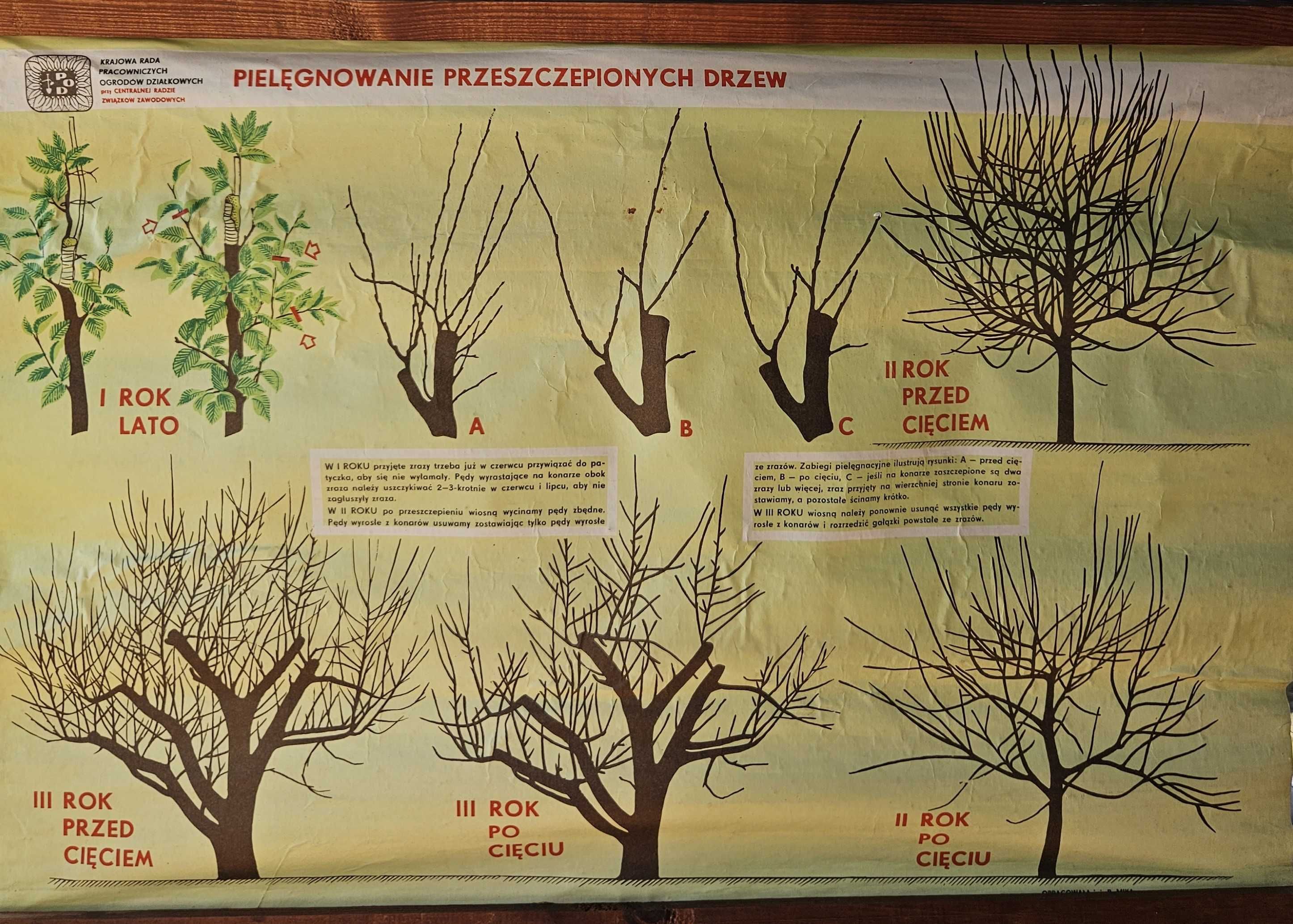 Tablice instruktażowe ogrodnicze PRL