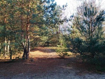 Działka budowlano leśna o powierzchni 1.2698 ha -Dołęga, gm. Szczurowa