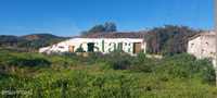 Herdade com ruina,20 HA,  Tavira