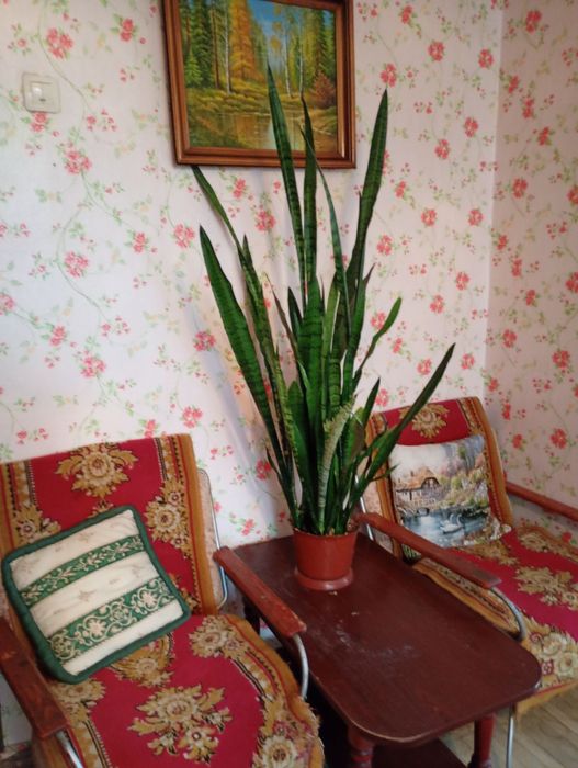 Сдать Двухкімнатну квартиру