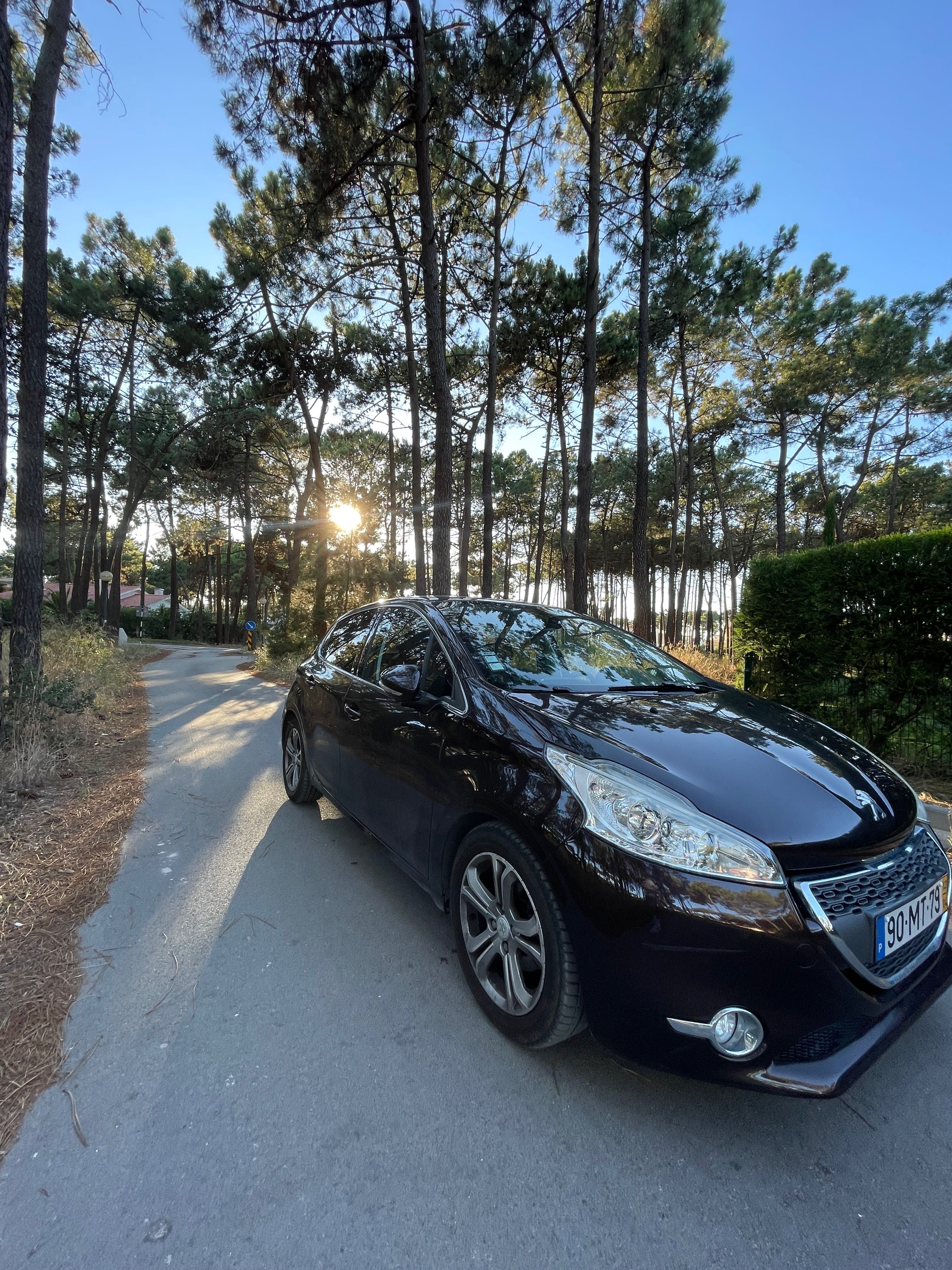 Peugeot 208 1,6 ehdi