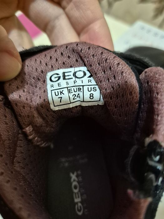 Хайтопи, черевики geox