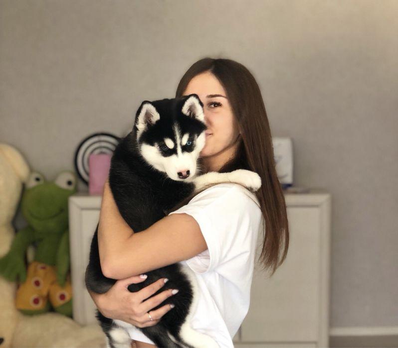 Opieka nad psem/kotem