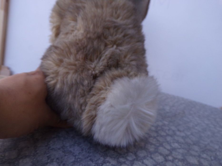 Peluche Steiff Coelho Altura 30 cm 2978/35