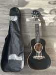 ukulele ever play koncertowe