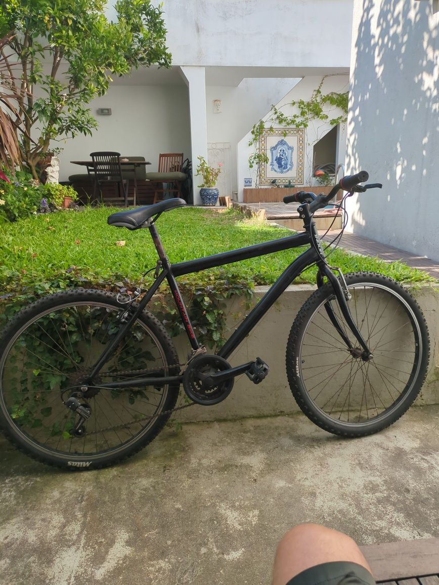 Bicicleta Indur Mountain Bike