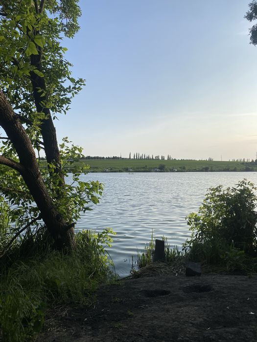 Ділянка на Черняхівкі, Черняховка, Черняховское