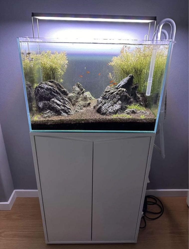 Aquário 60*40*40