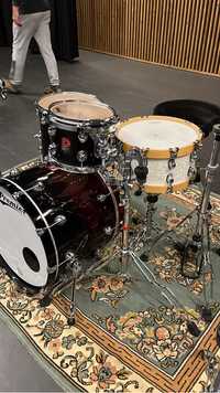 Bateria premier genista