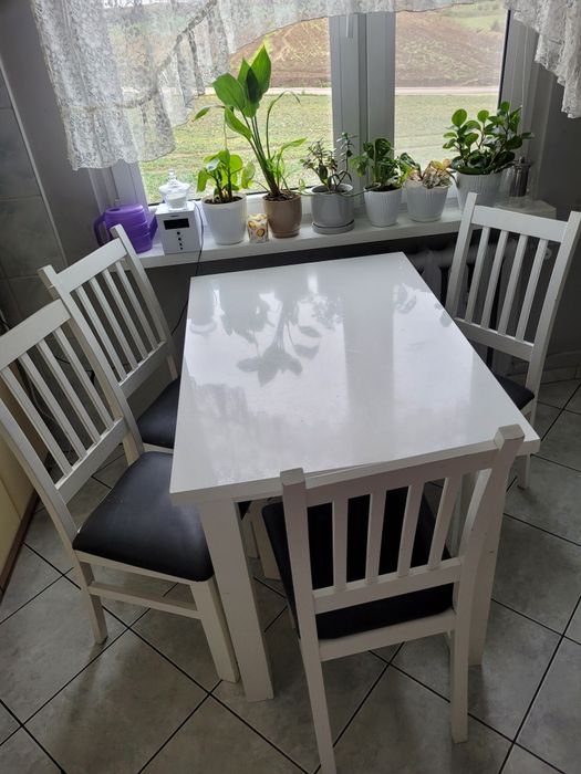 Stół + 4 krzesła do kuchni 100x69x77