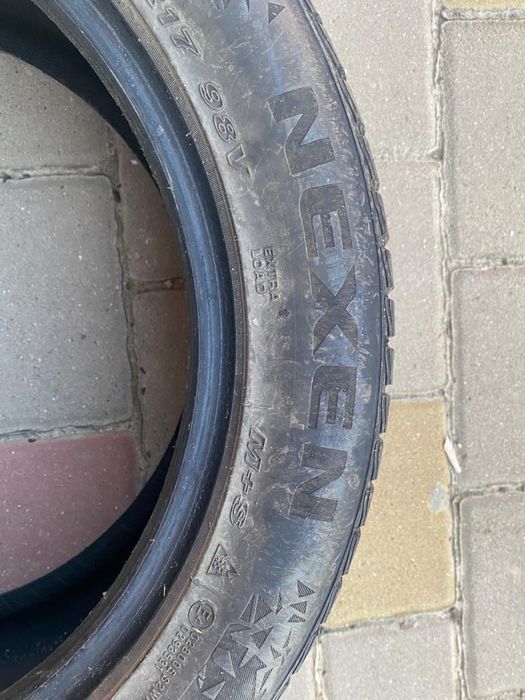 Зимові шини Nexen