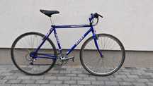 Giant Performer Retro MTB 28"