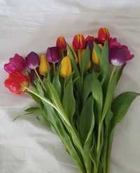 Тюльпани до 8 березня