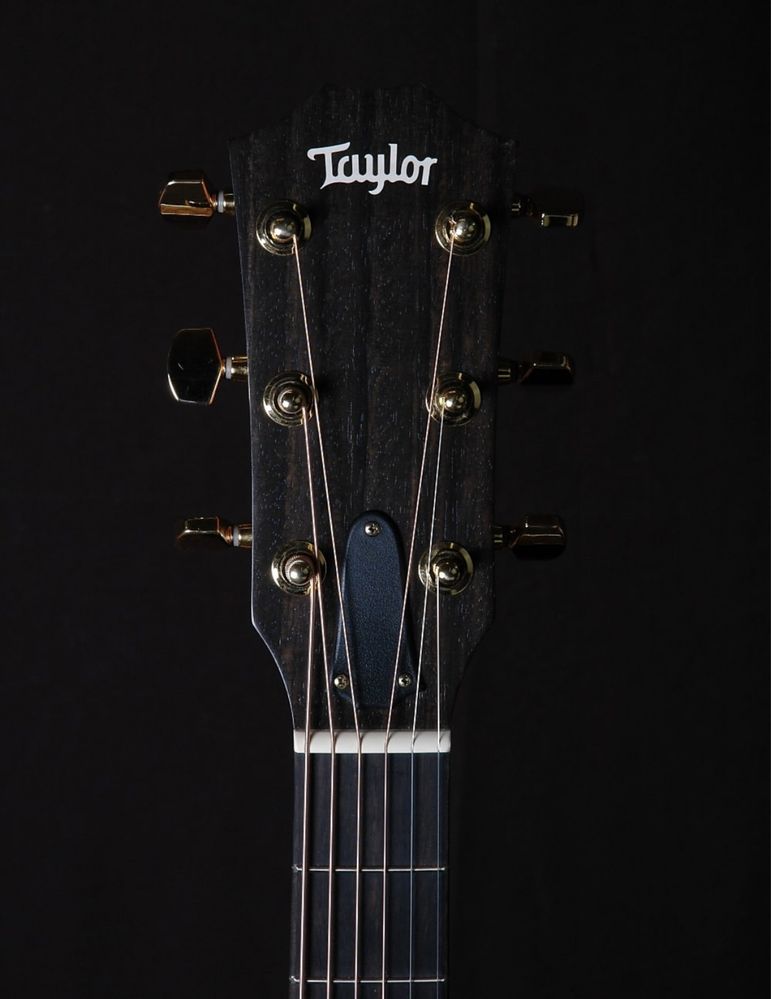 Taylor 214ce-FO DLX LTD Nature