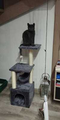 Drapak domek wieża legowisko szary dla kota zwierzęta sizal