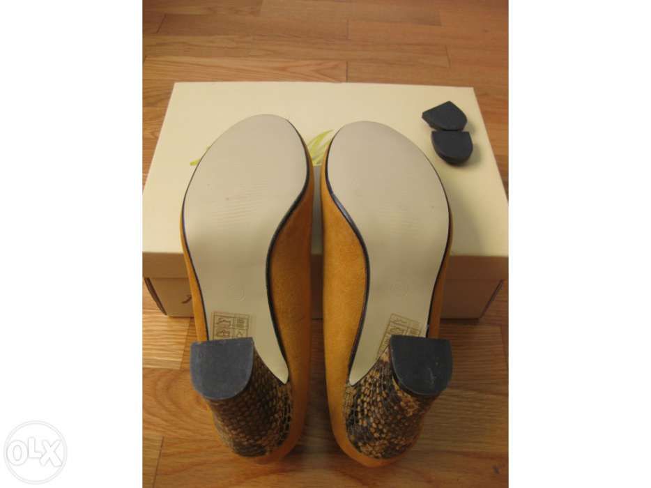 Sapatos Camel Novos nº 36