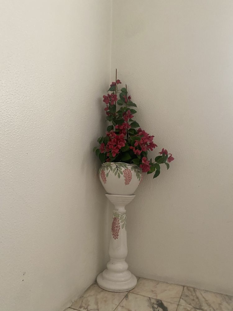 Vasos - varias unidades OFERTA de plantas