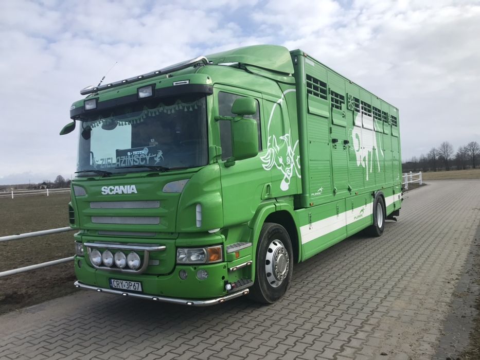 Scania P360 ( do żywca bydła zwierząt ) PLAVAC