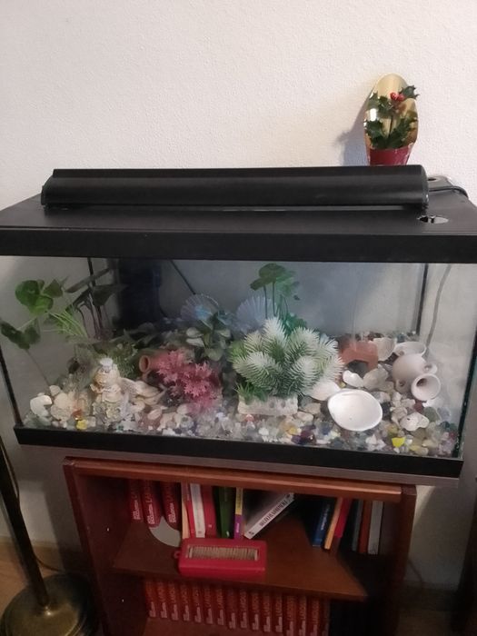 Aquário de peixes ornamentais com filtro, termostato,, lâmpadas Led