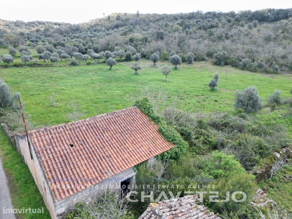 Quinta com casa antiga para recuperar perto de Chãos.
