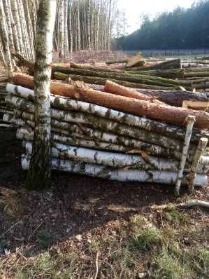 Drewno opałowe, brzoza