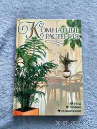 Комнатные растения. Ю.В. Рычкова