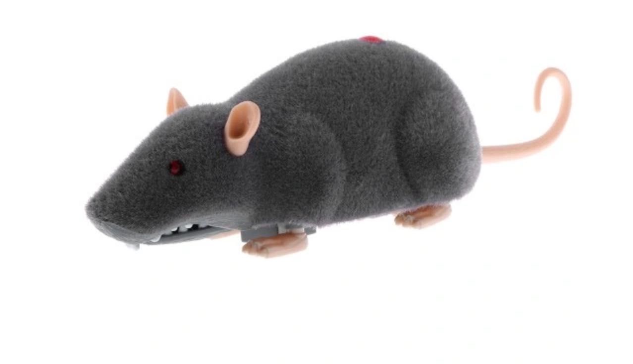 Elektroniczny szczur zdalnie sterowany, zabawka dla kota i psa szara