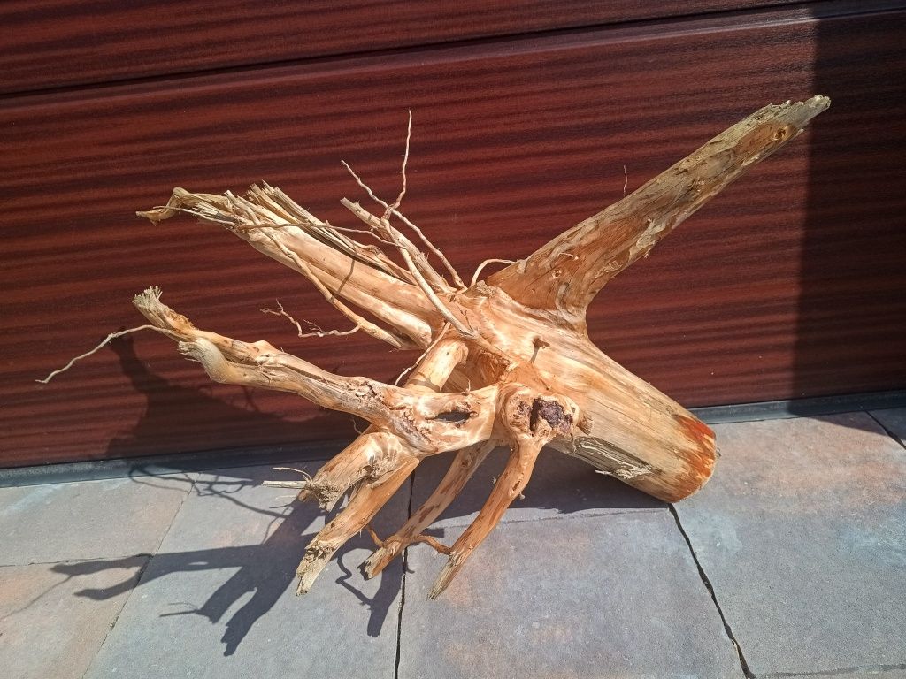 Bardzo ładny, gruby korzeń/karpa do akwarium