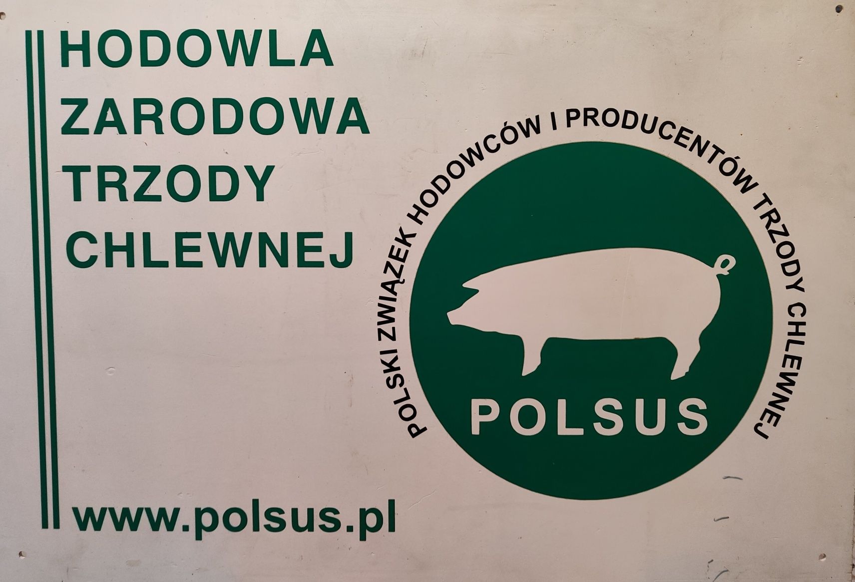 Loszki Hodowlane rasy PBZ.