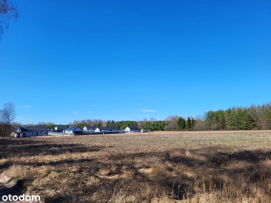 Wasilków ul.Jelenia FV23%