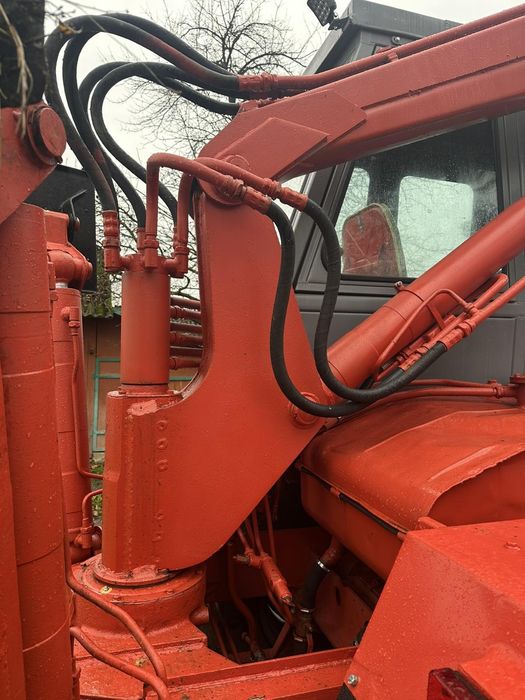 Продається карпатець