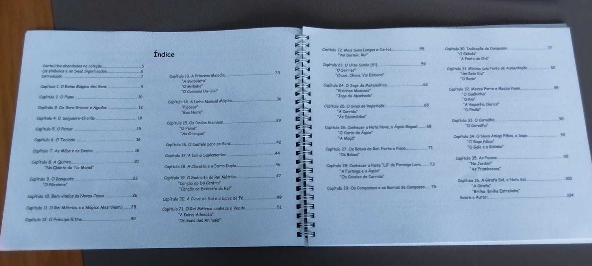 Livro Aprendizagem PIANO - IRINA GORIN