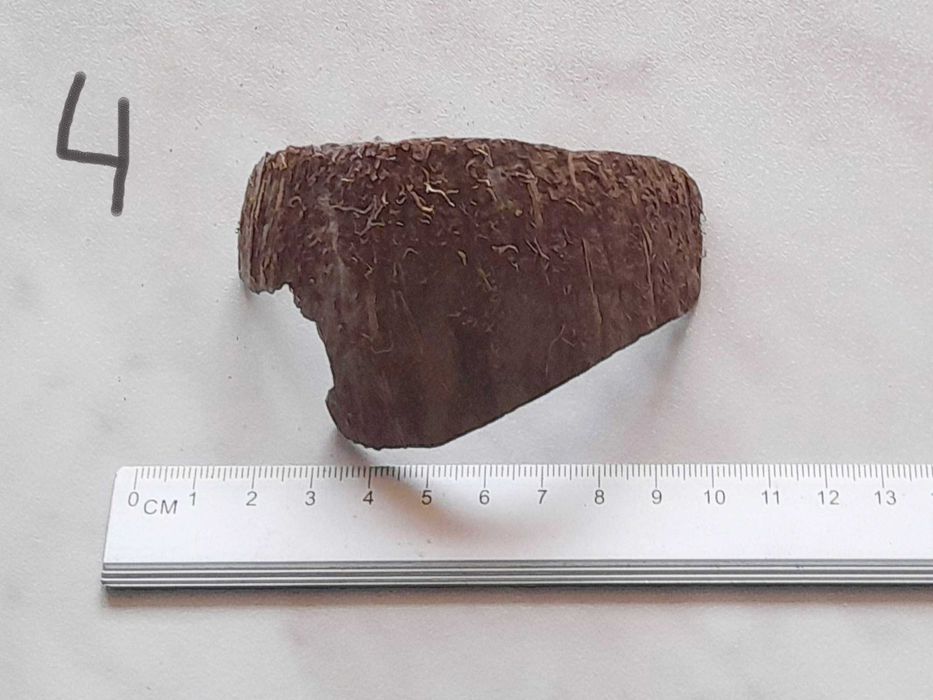 Блоки для орхідей. Кора сосни галтована, кокосовий горіх