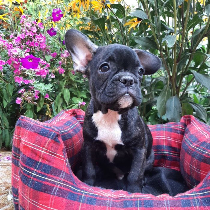 Мальчик и девочка